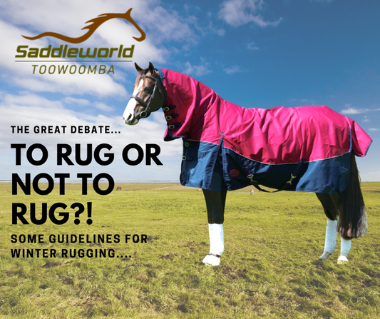 Rugging Your Horse in Winter