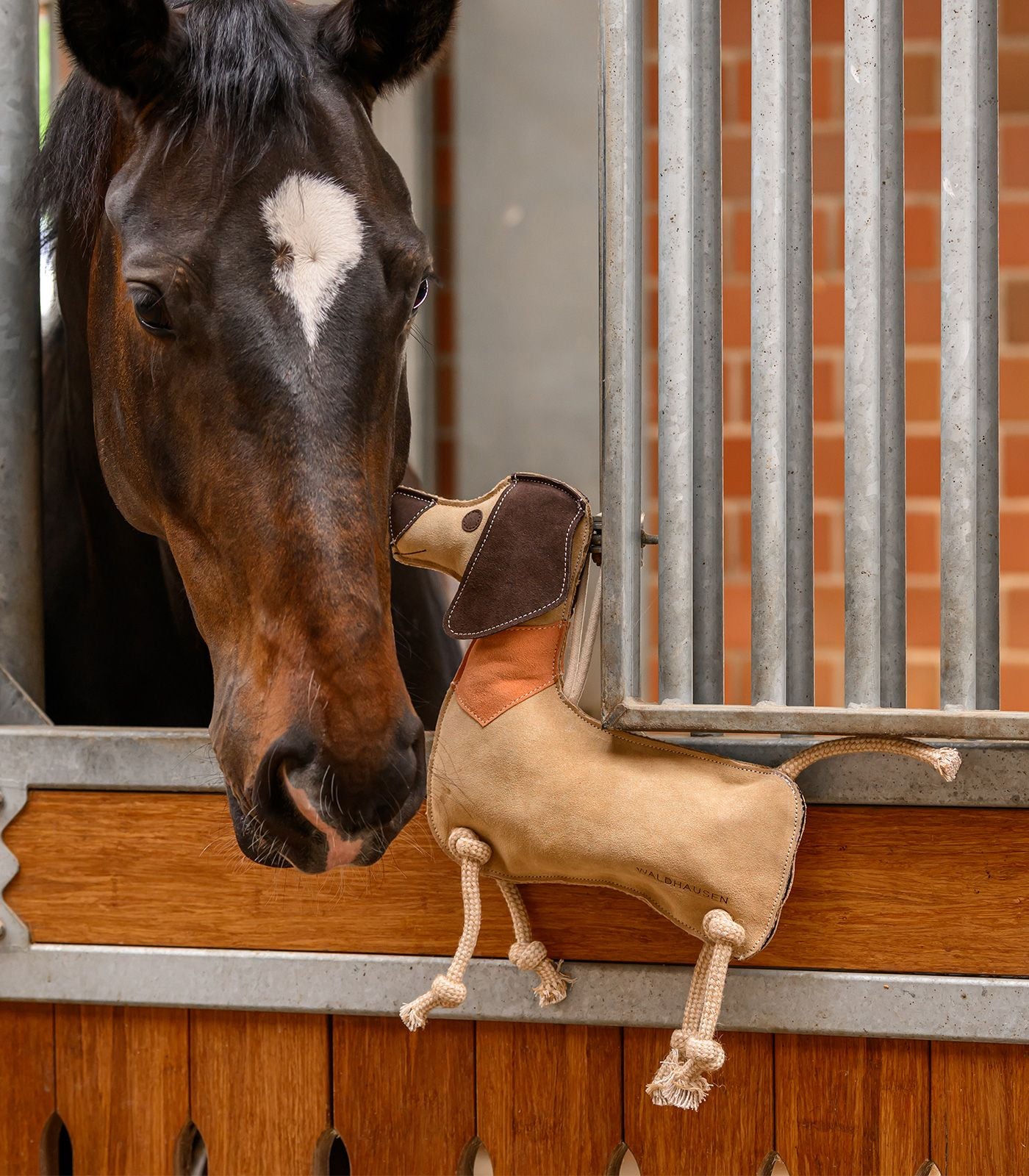 WALDHAUSEN DACHSHUND DIETER HORSE TOY