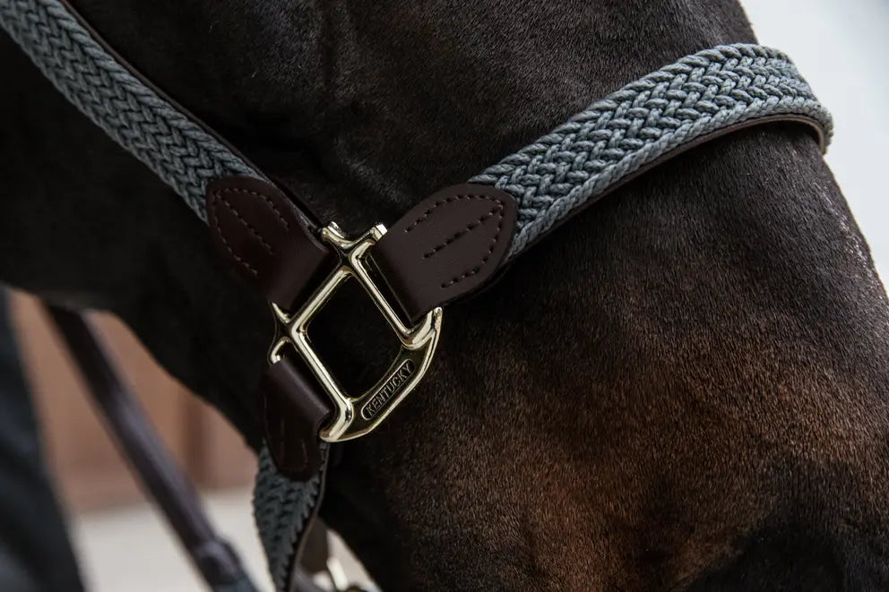 KENTUCKY PLAITED HALTER