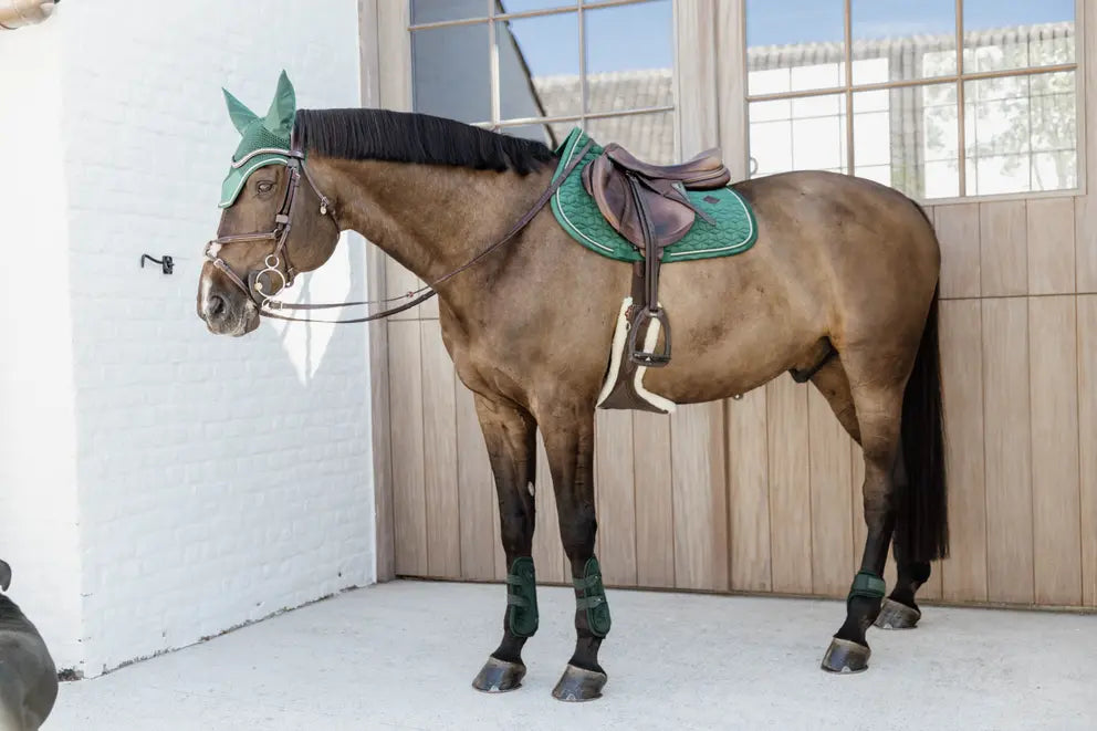 Kentucky Tendon Bamboo Elastic Velvet Dark Green