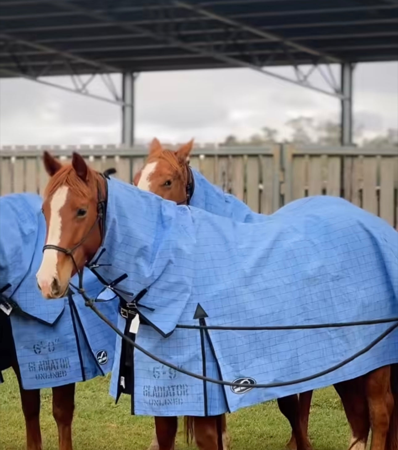 Eurohunter Gladiator Unlined Combo