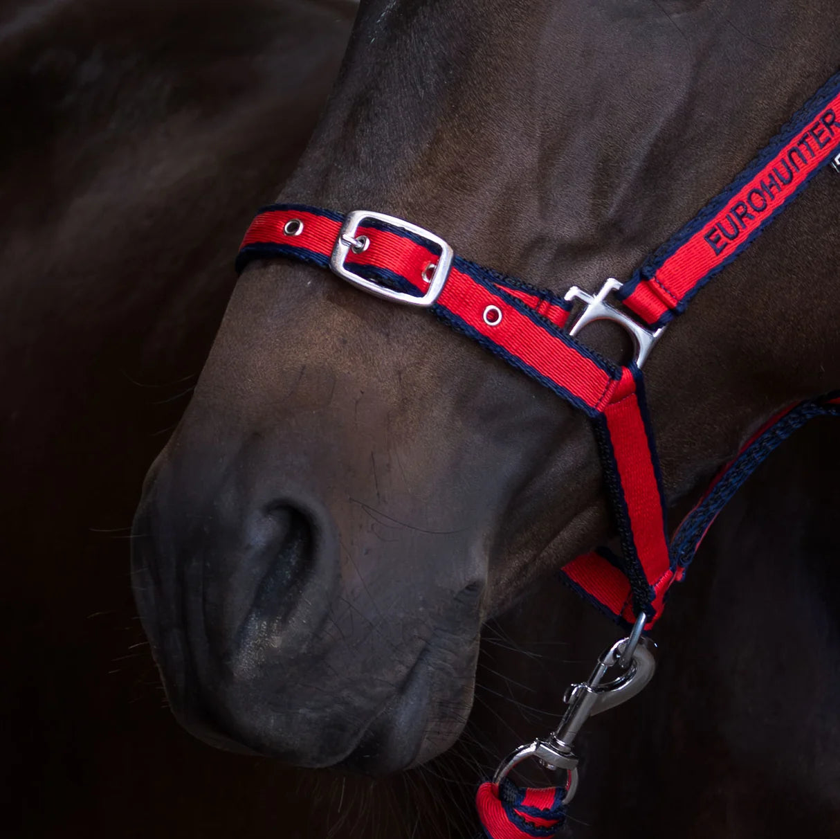 Eurohunter Emblem Comfort Halter and Lead Set.