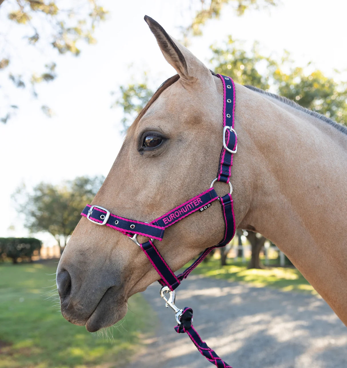Eurohunter Emblem Comfort Halter and Lead Set.