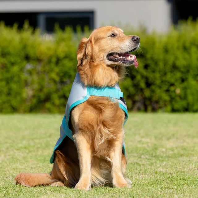 EquestPro 600D Dog Rug