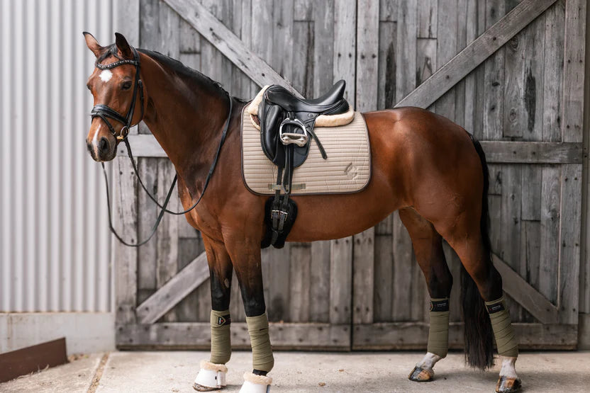 Stella Cavalla - Dressage Pad
