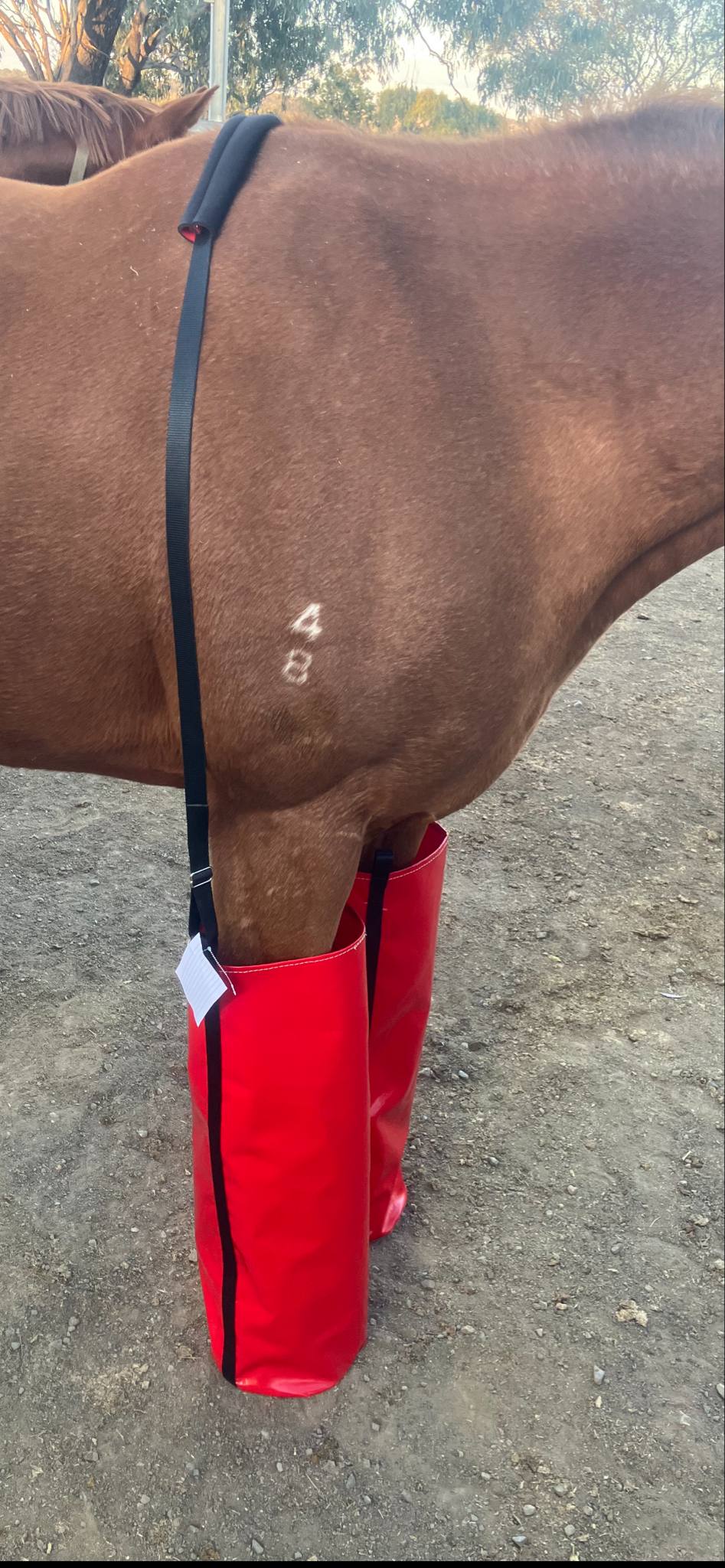 Full Length Ice Boots