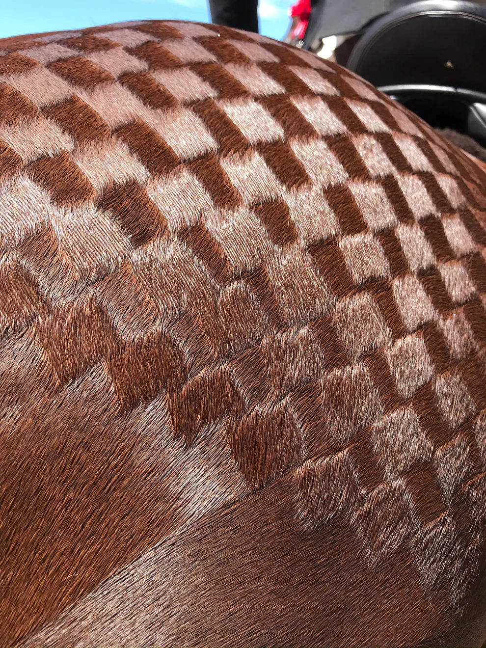 Hairy Pony - Quarter Mark Horse Spray