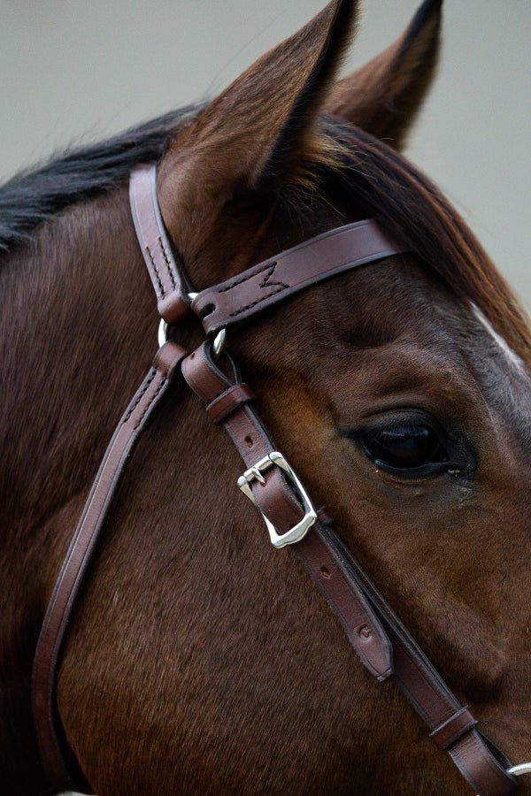 Leather Barcoo Bridle