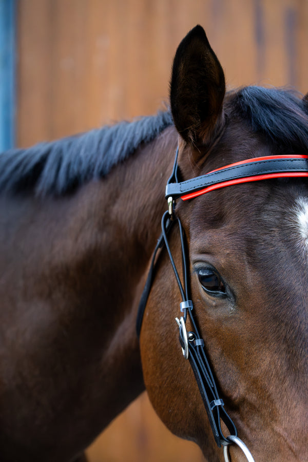 PVC Barcoo Bridle Full w/brass fittings