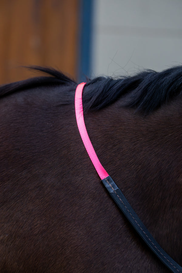 Webbing race reins