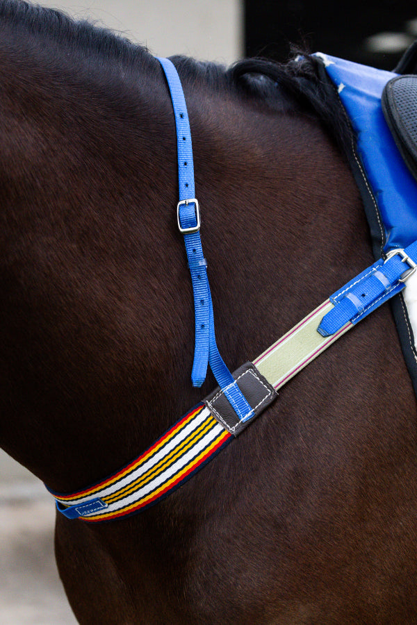 Trackwork Breastplate