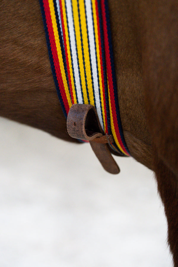 Racing striped surcingle