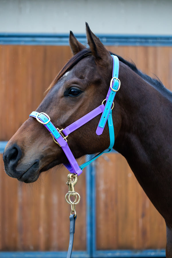 PVC Halter Full w/ stainless fittings