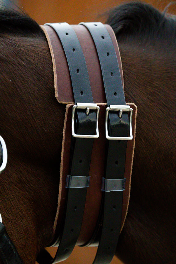 Leather windsuck collar