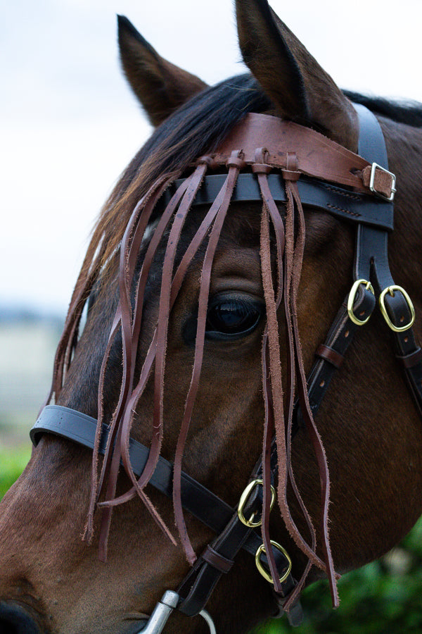 Fly browband