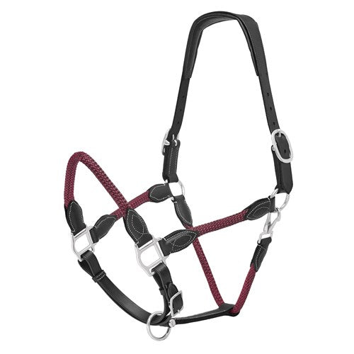 Leather and Rope Halter