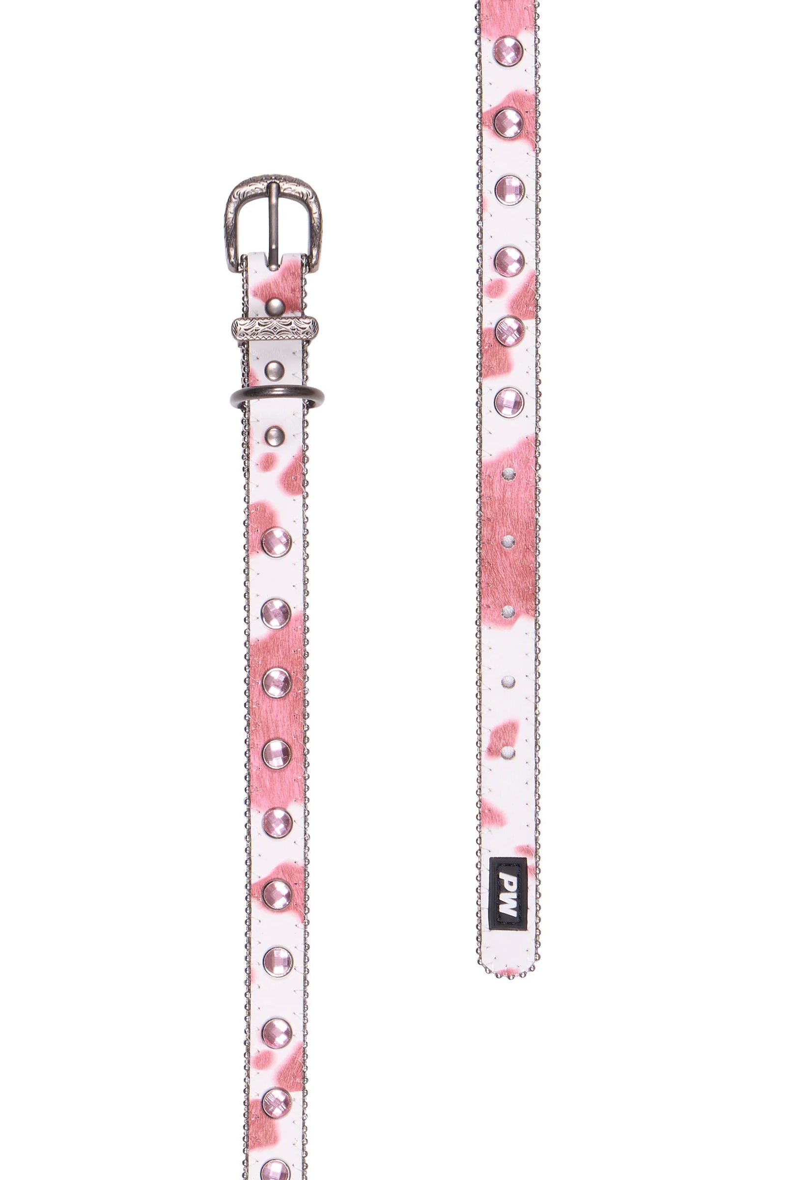 RANDY DOG COLLAR