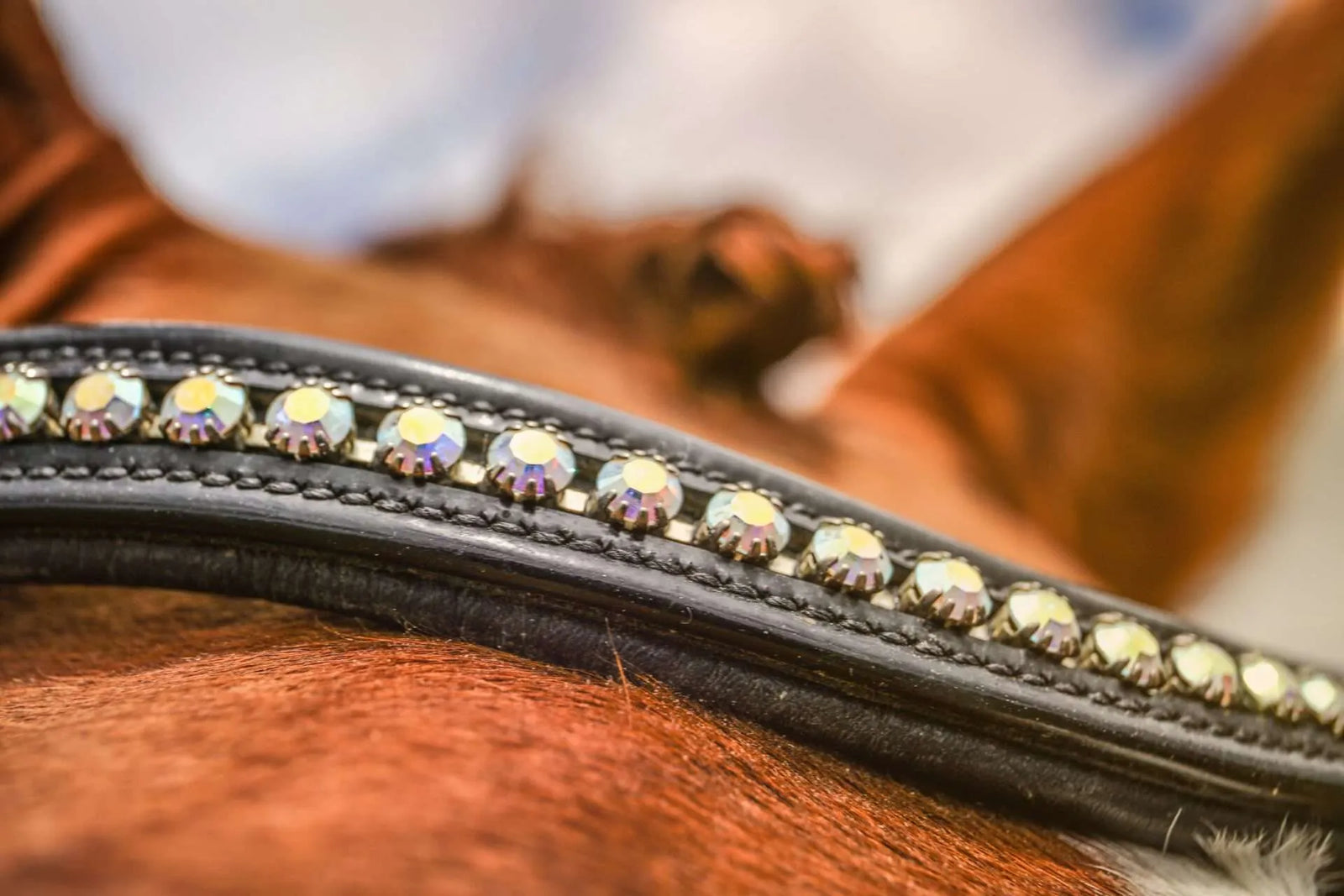 Princess Snaffle Bridle