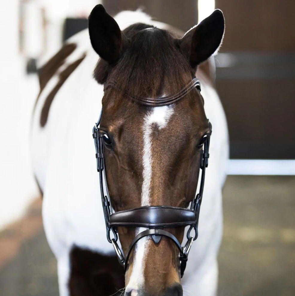 Mikayla Leather Bridle (Convertible)