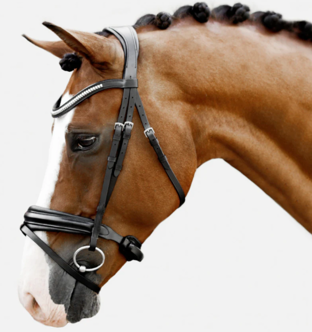 Lumiere Melodie Classic Bridle - Nappa Reins