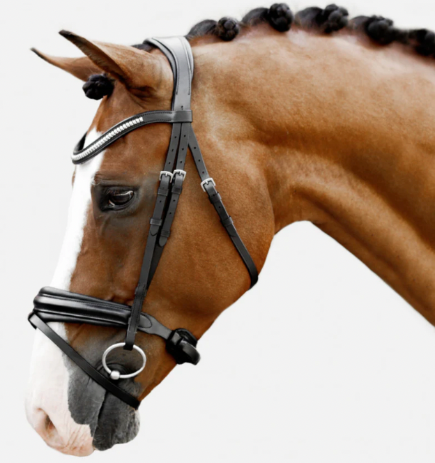 Lumiere Melodie Classic Bridle