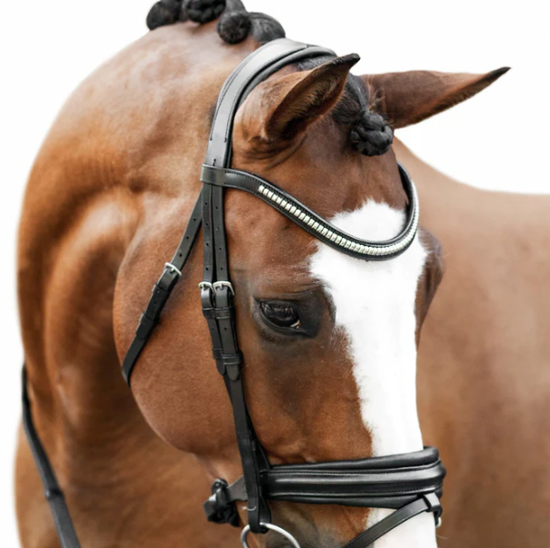 Lumiere Melodie Classic Bridle - Nappa Reins