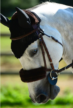 Kentucky Sheepskin Noseband Cover