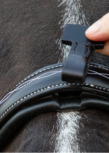 Monza Bridle