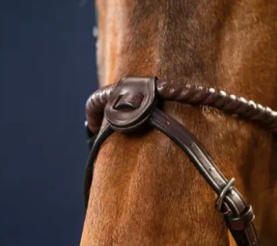 Dyon Flash Nose Strap 1/2 w/Removable Attachments