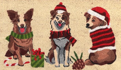 Door Mat