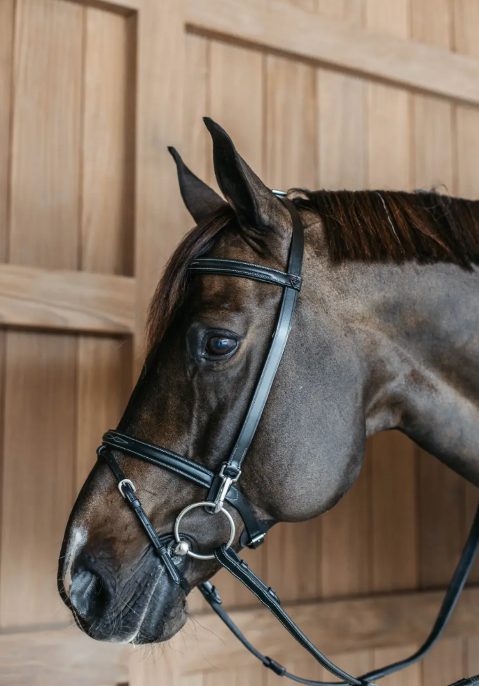 By Dyon Training Bridle