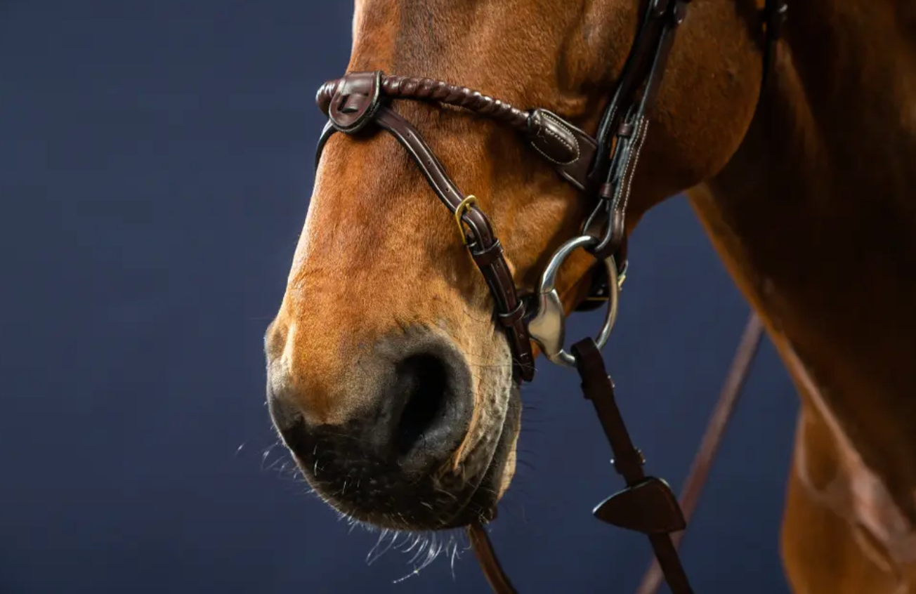 Dyon Cov Rope Noseband Bridle