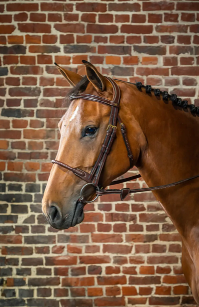 Dyon Cov Rope Noseband Bridle