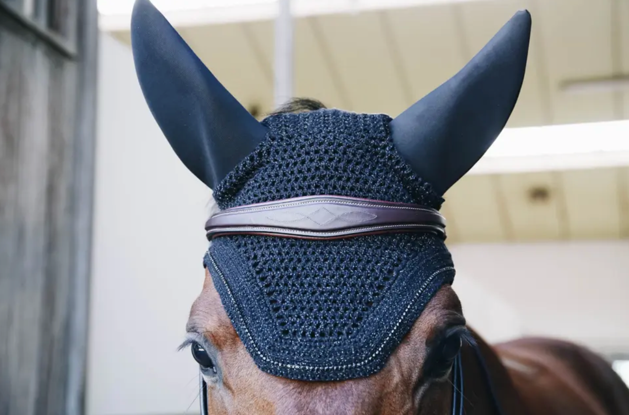 Kentucky Fly Veil Wellington Sparkling