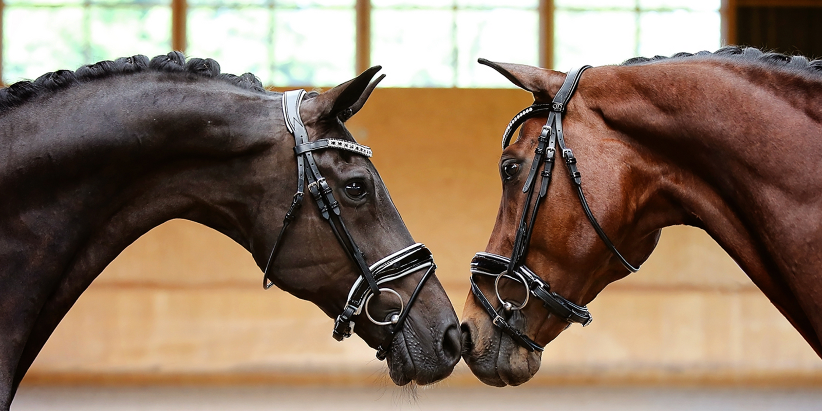Belle Equestrian Duchess Snaffle Bridle