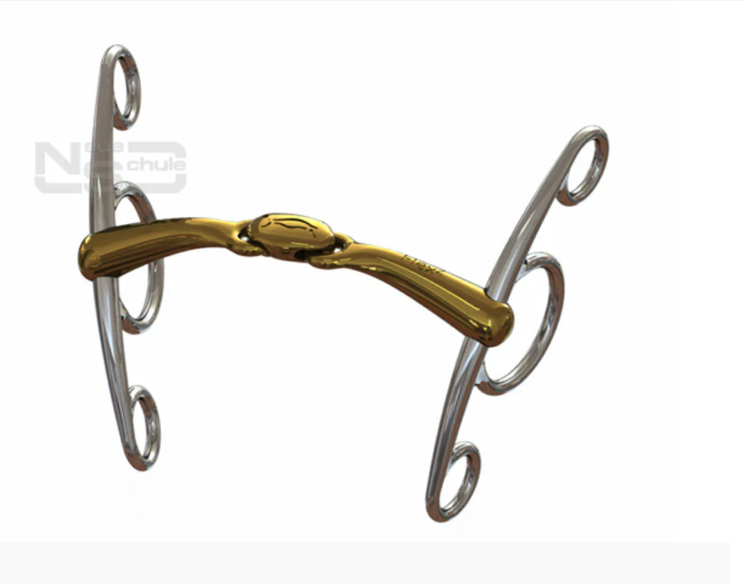 NEUE SCHULE TURTLE TOP ELEVATOR