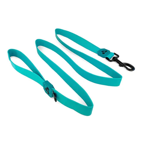 DOG LEASH WATERPROOF