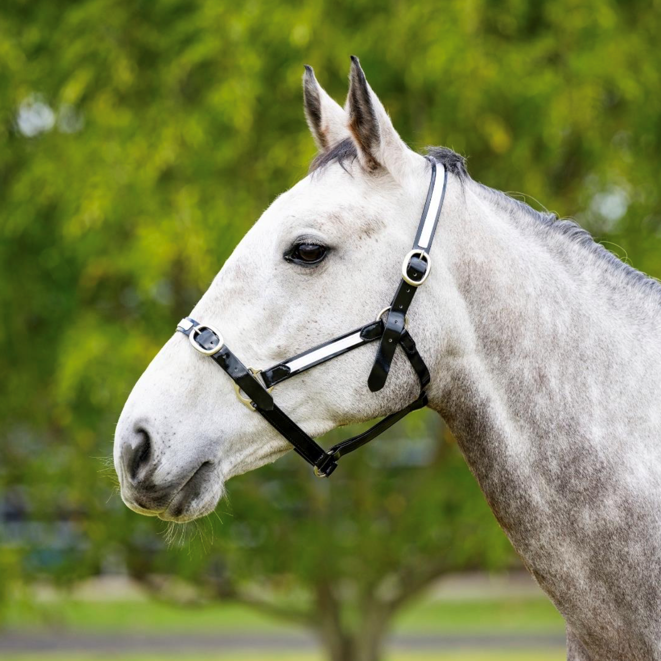 EquestPRO PVC Overlay Halter