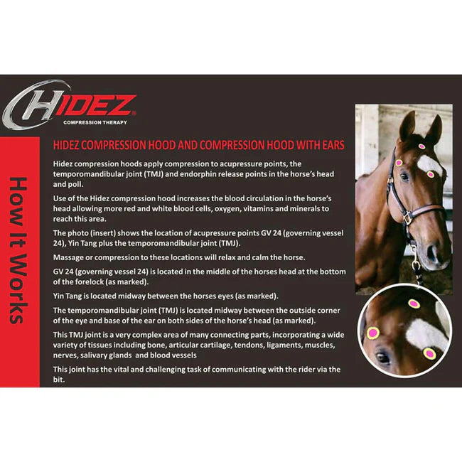 Hidez Equine Hood with Ears.