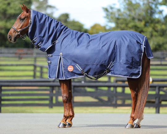 KOZY COMBO RUGS