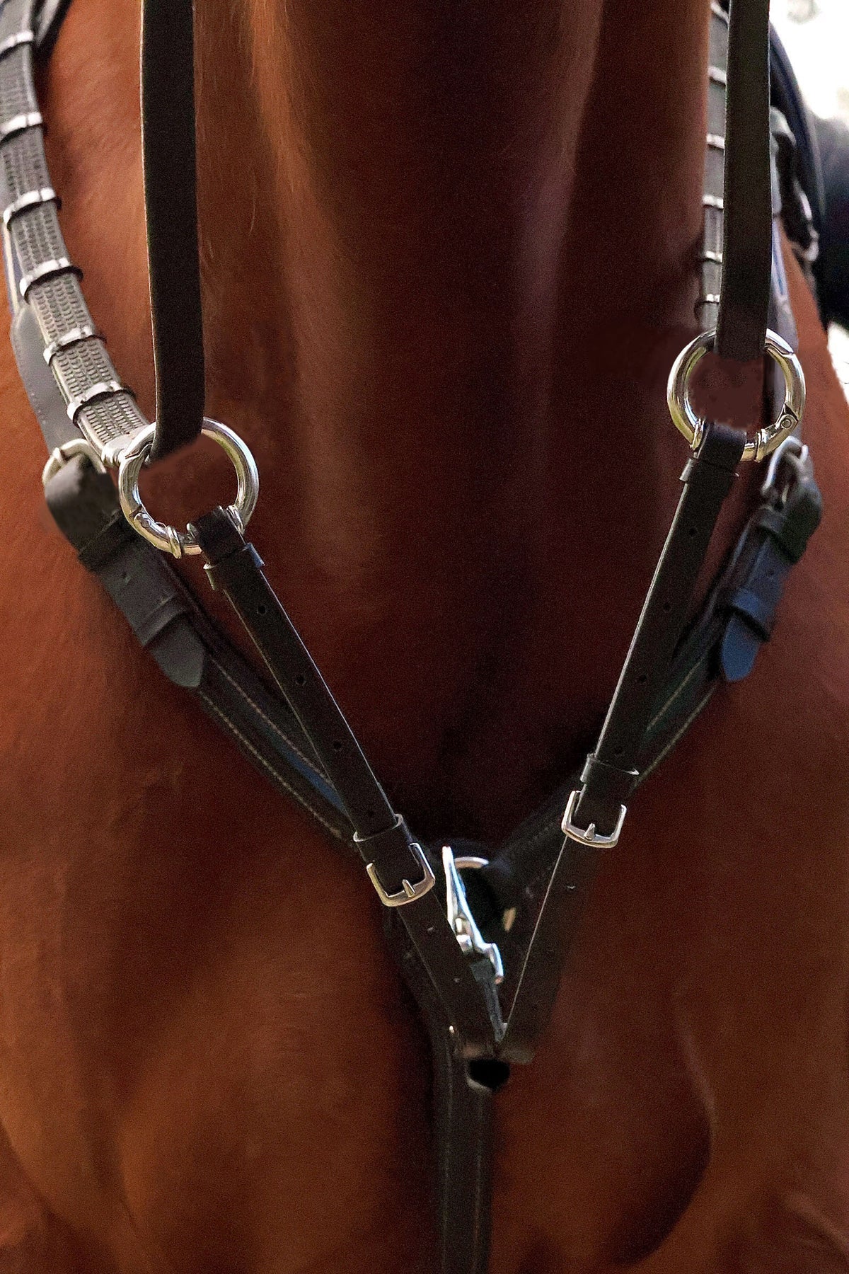 Flexible Fit - Clip On Martingale Rings