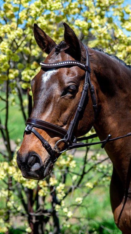 Flexible Fit - Comfy Bridle Patent Crystal Wave.
