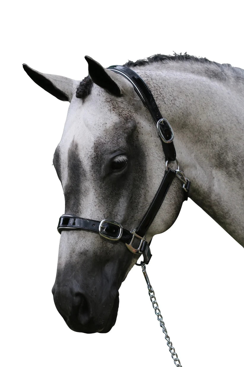 PATENT SILVER PIPE HALTER