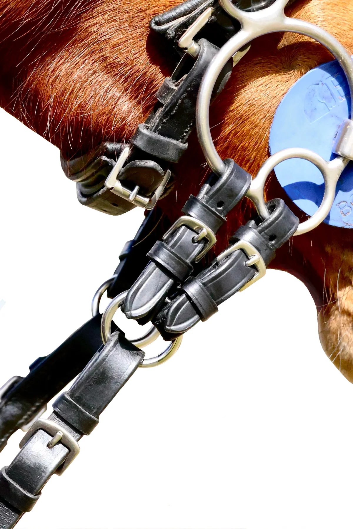 PELHAM LEATHER BIT CONVERTER