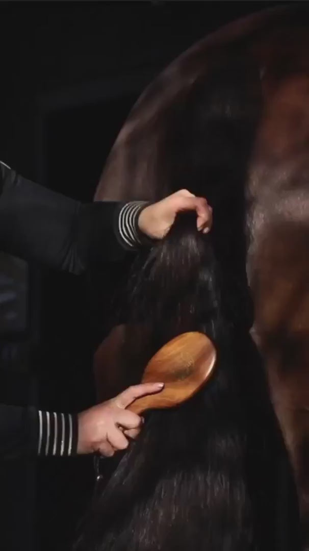 Hairy Pony - Mane and Tail Brush