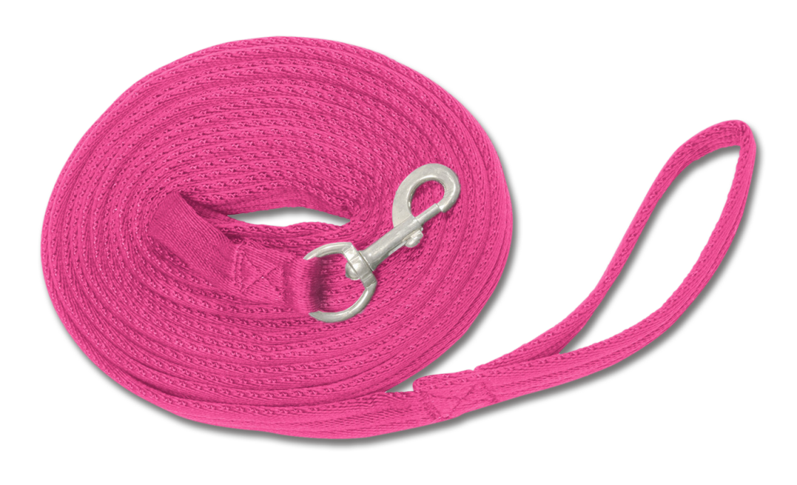 Waldhausen Lunge Lead