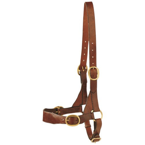 LEATHER BULL HALTER