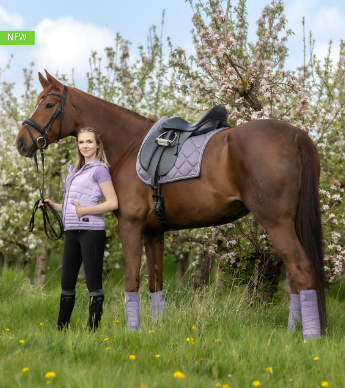 Saddle Pad All Purpose Valencia Stone Grey/Silver