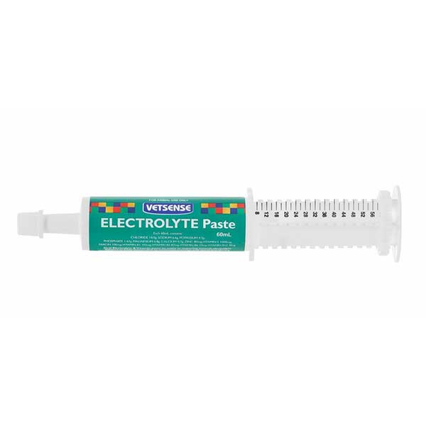 Vetsense Electrolyte Paste