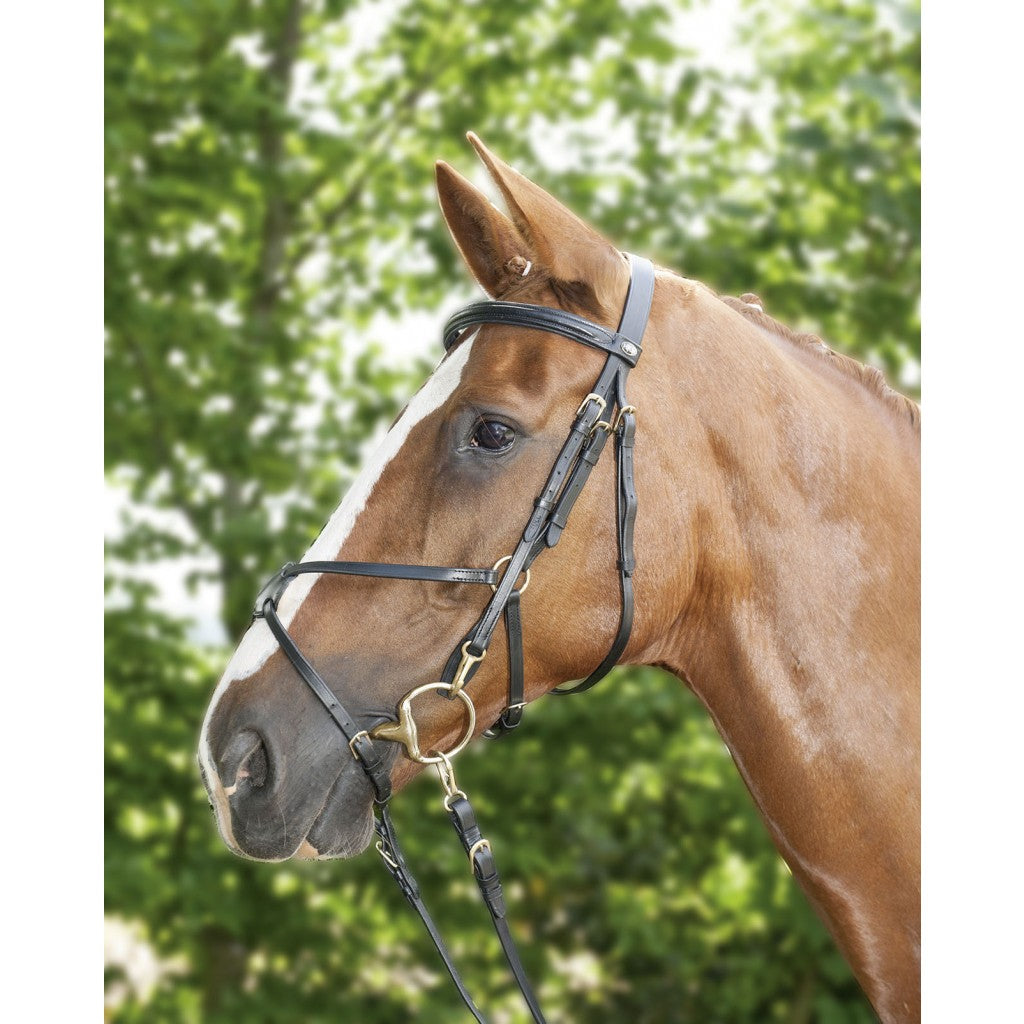 HKM Mexican Bridle